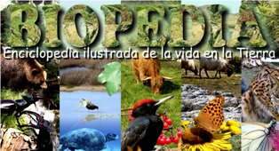 bio enciclopedia